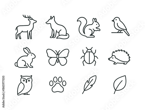 Forest Creature Icons. Forest creatures seen on walks. Line icon set of forest creatures seen on walks: deer silhouette, fox outline, squirrel, bird on branch,