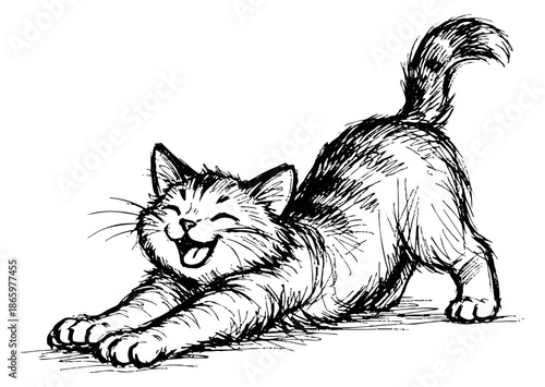Hand drawn line art illustration of a happy cat depicting a playful stretch for pet care and animal designs