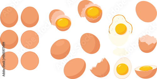 Egg vector set with whole cracked boiled and fried eggs food ingredient illustrations isolated on white background