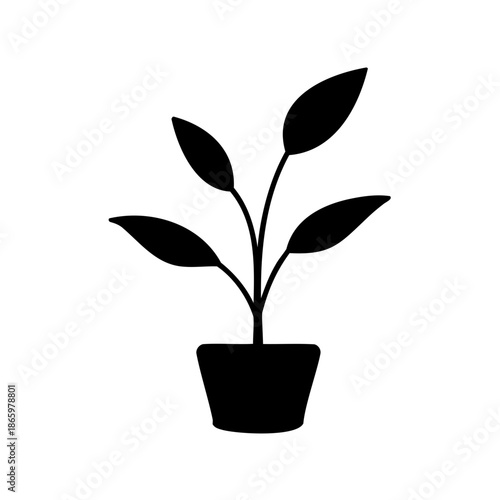 Minimalist black silhouette of a potted plant with rounded leaves and stems