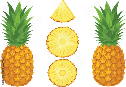 Pineapple fruit vector set with whole and sliced pieces tropical fresh food illustration isolated on white background