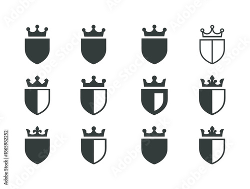 Baron Logo Variations. Baron. Icon set. Set Logo of Baron: coat of arms. harmonious logo variations of the same emblematic concept, each with different