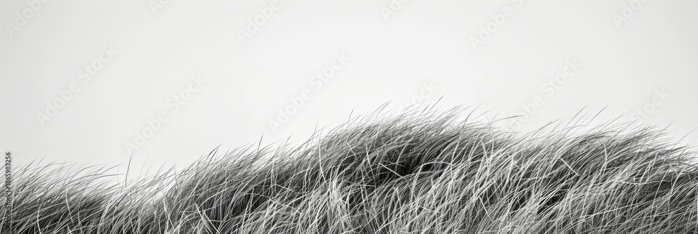 Obraz premium A minimalist composition of rolling waves of grass evoking a sense of calm and tranquility. Black and white art