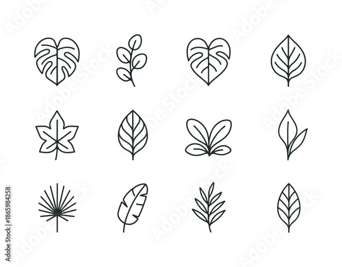 Botanical Leaf Icons. Botanical leaves. Line icon set of Botanical leaves: monstera, eucalyptus leaf, philodendron leaf, fern frond, ivy leaf, calathea leaf,