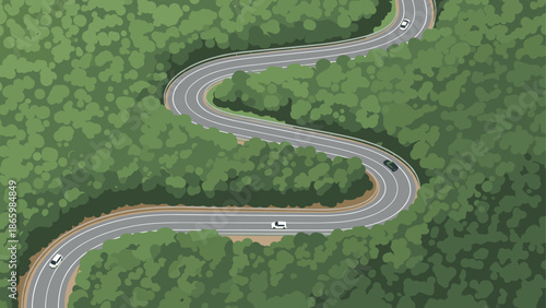 Scenic curved road through dense forest from aerial perspective