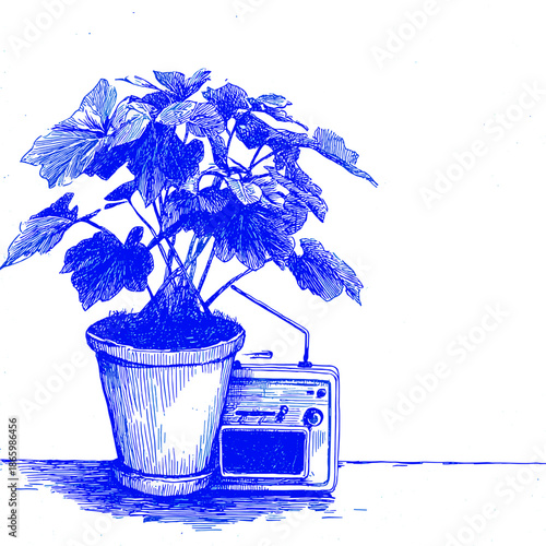 Vintage radio with potted plant illustration