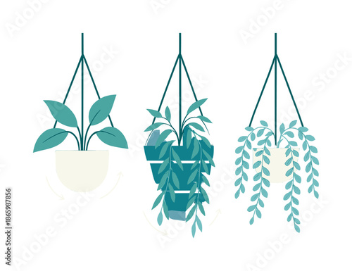 Cascading Plants Display. Hanging planters. Pots suspended with clean lines; leaves cascading in slow motion. Floating arrows suggesting gentle sway. Modern