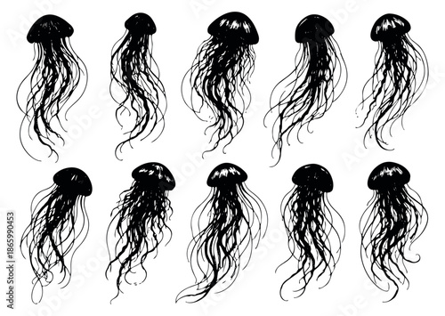 Hand drawn line art jellyfish set featuring black silhouettes and flowing tentacles for marine life designs
