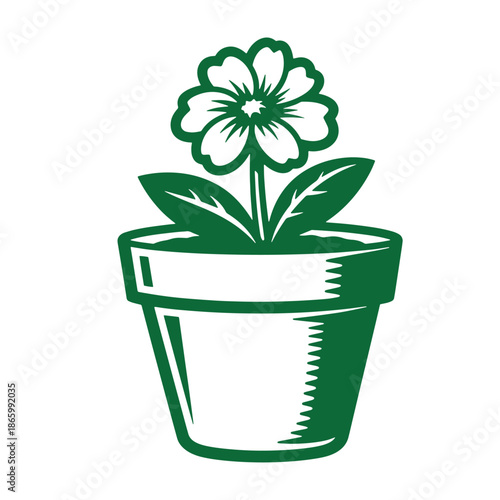 Green potted flower plant in a flowerpot with leaves isolated on white background