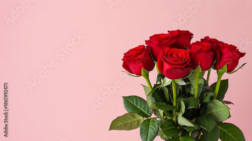 Red rose bouquet on pink background with romantic mood
