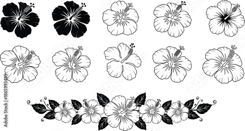 Collection of hibiscus flower illustrations, black and white tropical bloom set with floral border, Hawaiian summer nature elements, cad drawing flat vector illustration.