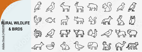 rural wildlife and wild birds outline icons, nature animals vector
