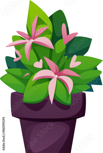 Blooming Plant in Pot