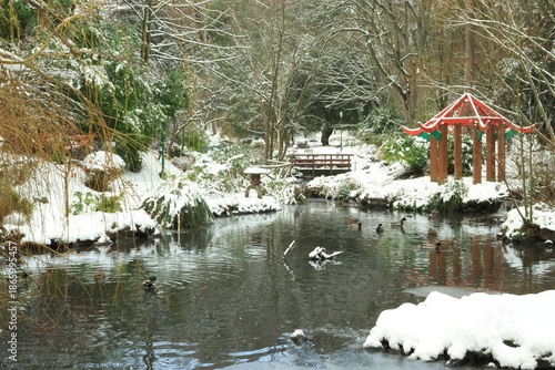 japanese garden in winter