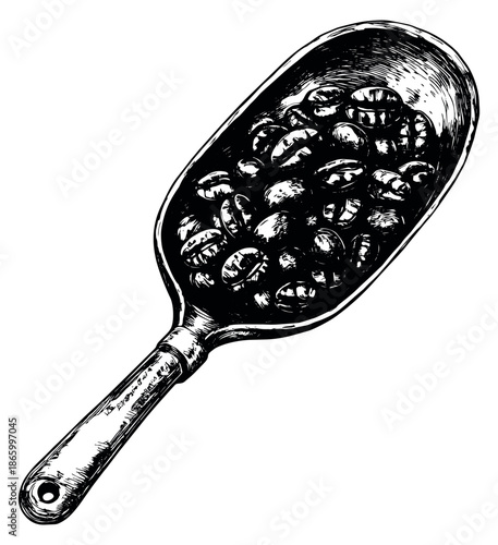 Hand drawn line art illustration of a scoop filled with coffee beans for a coffee shop