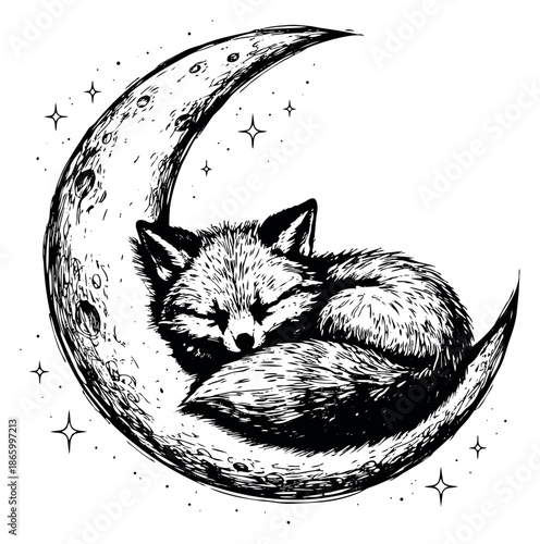 Hand drawn line art illustration of a sleeping fox on a crescent moon depicting serenity for nursery decor