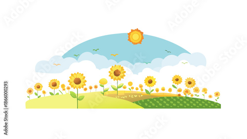 Sunny sunflower field