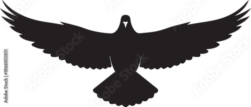 Silhouette of a soaring bird