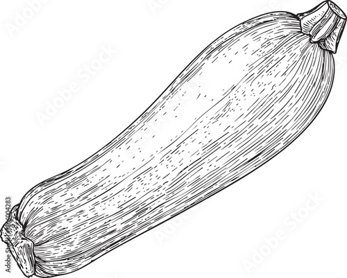 zucchini illustrated as a minimal black vector outline with elongated smooth body and short stem