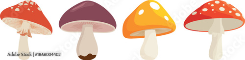 Set of colorful stylized forest mushrooms including red fly agaric and various fungi for autumn design