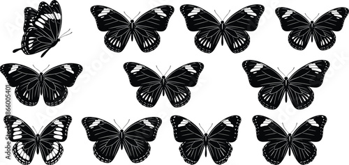 Black and white butterfly illustrations with one unique variation among identical wing patterns for visual comparison and design use