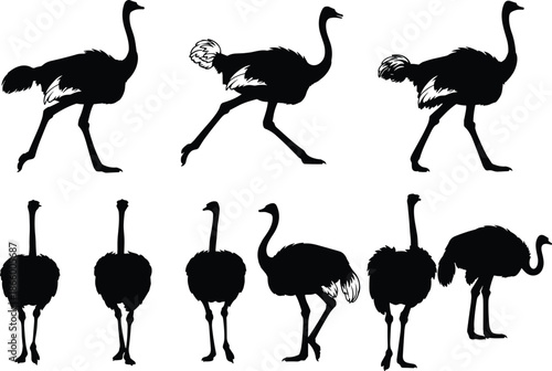 Black ostrich silhouettes in walking, running, and standing poses, front and side views for wildlife, anatomy, and design projects.