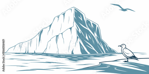 Iceberg with seagulls