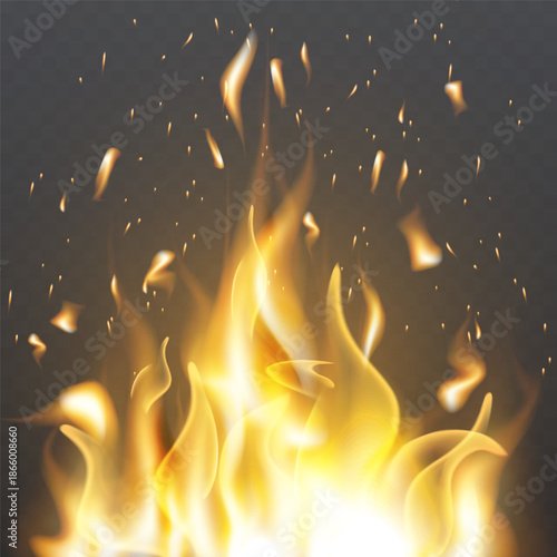 Burning fire flame effect on dark background