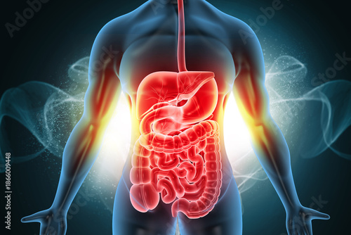 Obraz na plátně Healthy Human Body with Digestive System Anatomy