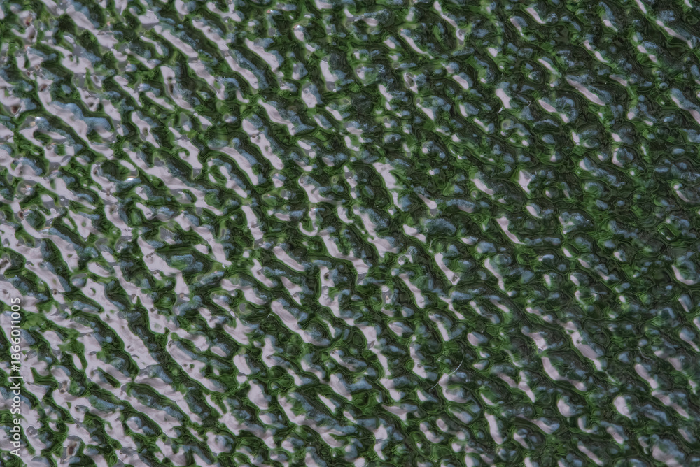 custom made wallpaper toronto digitalA textured surface characterized by an interplay of green and white, creating an abstract, organic pattern