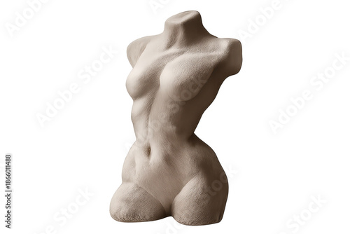 Female torso sculpture with a transparent background for designers.