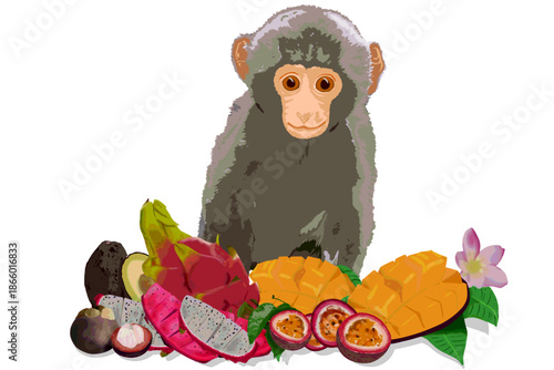 Happy Monkey with tropical fruits