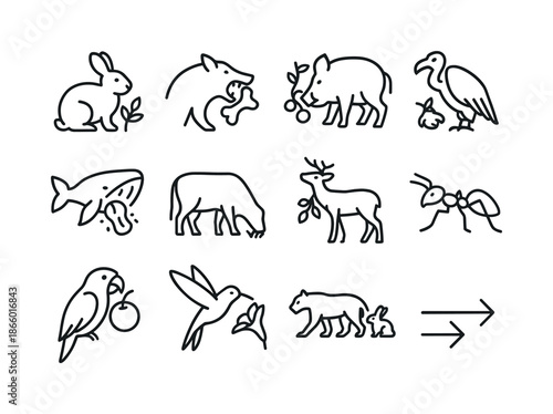 Animal Feeding Icons. Animal feeding habits. Line icon set of Animal feeding habits: herbivore icon, carnivore icon, omnivore icon, scavenger icon, filter