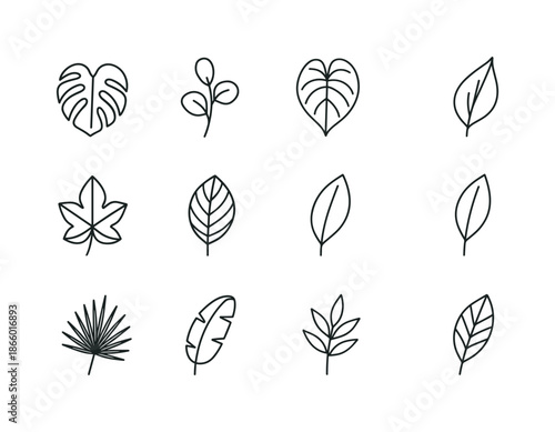 Botanical Leaf Icons. Botanical leaves. Line icon set of Botanical leaves: monstera, eucalyptus leaf, philodendron leaf, fern frond, ivy leaf, calathea leaf,