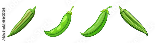 Fresh green bean pods vector illustration for healthy eating and cooking ingredients concept art