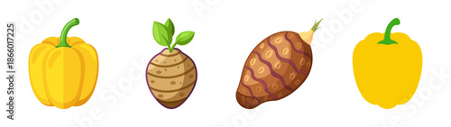 Illustration of yellow bell peppers and yacon roots for healthy eating and nutrition guide