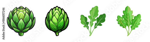 Fresh artichoke and arugula vector illustration for healthy eating and cooking concept design