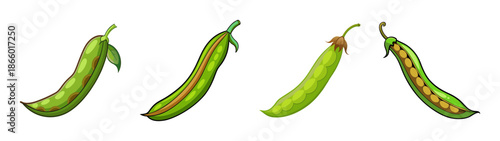 Explore green bean pods vector illustration: healthy eating, vegetarian, and fresh vegetable art