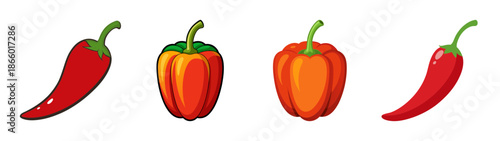 Fresh organic chili peppers vector illustration featuring red and orange hot peppers for cooking use