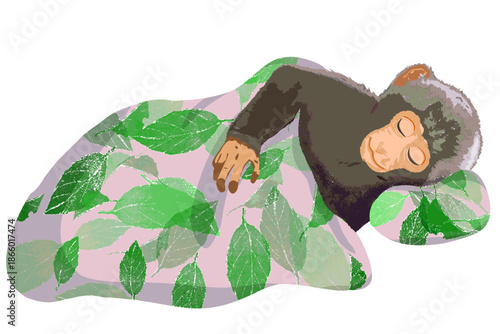 Cute monkey sleeping peacefully