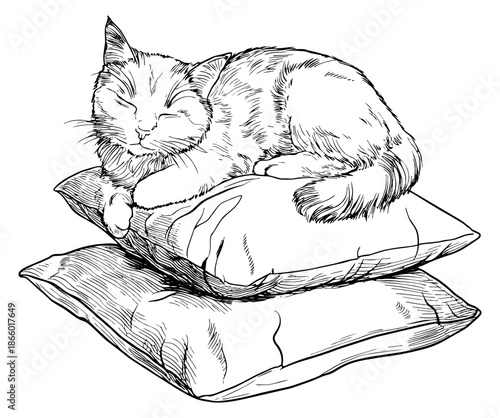 Hand drawn line art illustration of a cat depicting sleeping peacefully on stacked pillows for animal relaxation