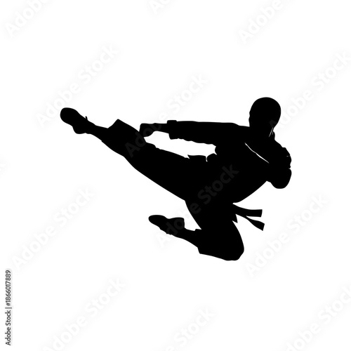 Silhouette of a Karate Practitioner Executing a Side Kick.