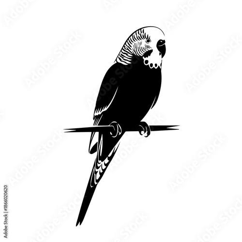 A black and white illustration of a budgerigar perched on a thin branch.
