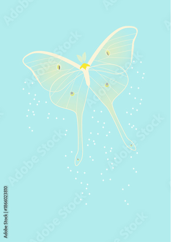 Pale Yellow Luna Moth on Light Blue Background Illustration