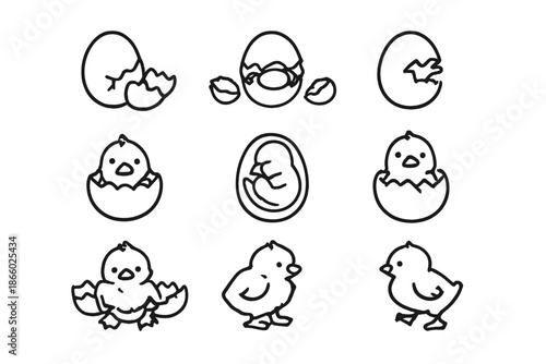 Cute Chick Hatching from Egg Icon Set