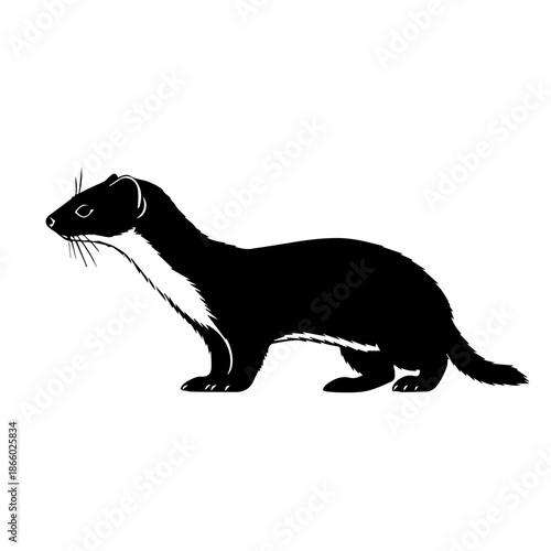 A black silhouette of a weasel or stoat standing in profile, showcasing its slender body and characteristic shape.