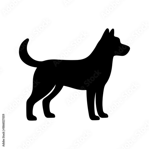 happy dog, playful dog, funny dog, calm dog, curious dog, alert dog, relaxed dog, smiling dog, active dog, love, friendship, companionship