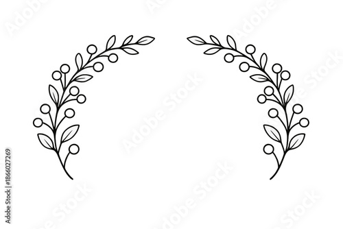 Arch of leaves and berries on a dark background