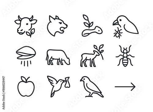 Animal Feeding Icons. Animal feeding habits. Line icon set of Animal feeding habits: herbivore icon, carnivore icon, omnivore icon, scavenger icon, filter