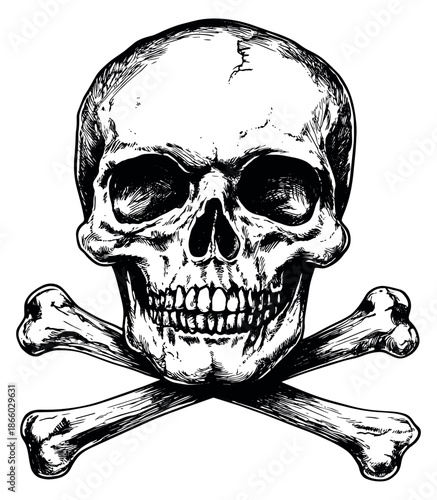 Hand drawn line art illustration of a skull and crossbones depicting danger for pirate themes